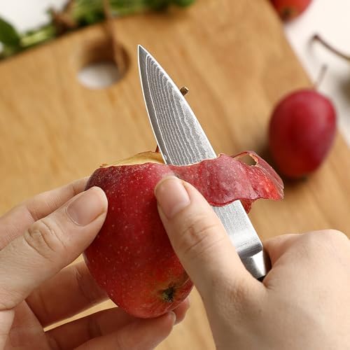 Wakoli EDIB 4-teiliges Küchenmesser Set aus Damaststahl (VG10 Kern) in edler Geschenkbox – Scharfes Damastmesser Set mit Pakkaholzgriffen – Messerset mit 2x Santoku, Fleischmesser & Officemesser