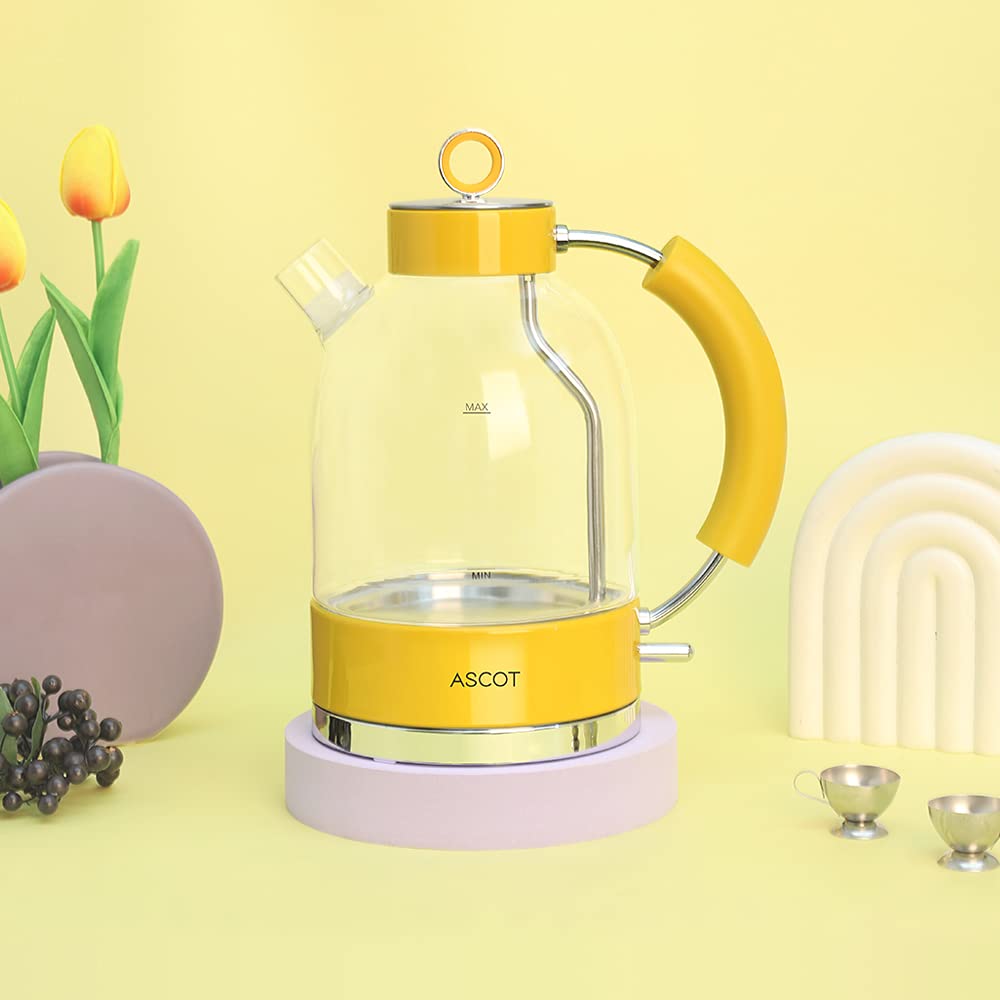 ASCOT Wasserkocher Glas, Elektrischer Wasserkocher Geschenke für Männer/Frauen/Familie 1,5L Schnellkochkessel, Trockengehschutz und automatische Abschaltung (Silber)