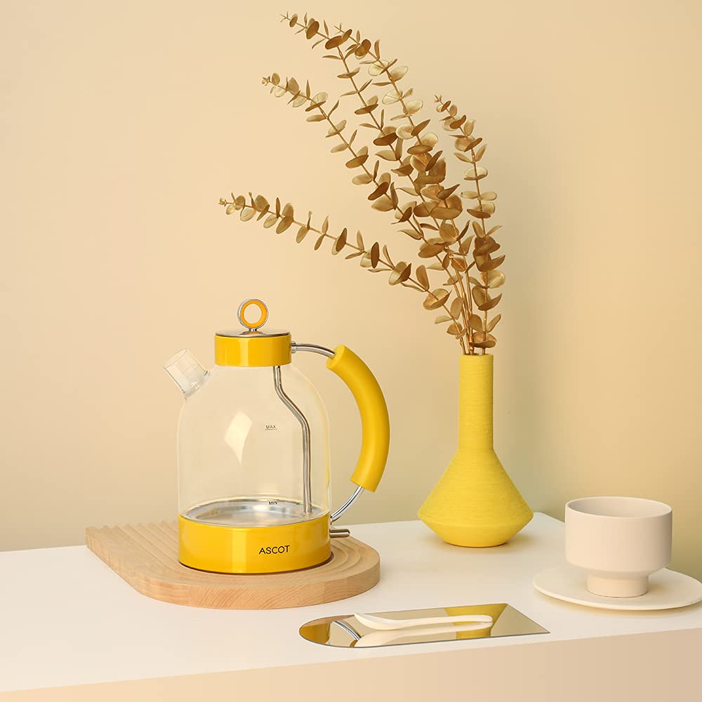 ASCOT Wasserkocher Glas, Elektrischer Wasserkocher Geschenke für Männer/Frauen/Familie 1,5L Schnellkochkessel, Trockengehschutz und automatische Abschaltung (Silber)