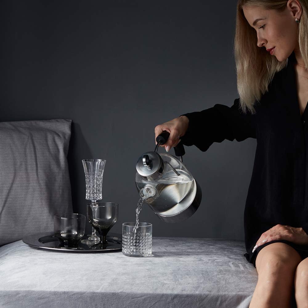 ASCOT Wasserkocher Glas, Elektrischer Wasserkocher Geschenke für Männer/Frauen/Familie 1,5L Schnellkochkessel, Trockengehschutz und automatische Abschaltung (Silber)