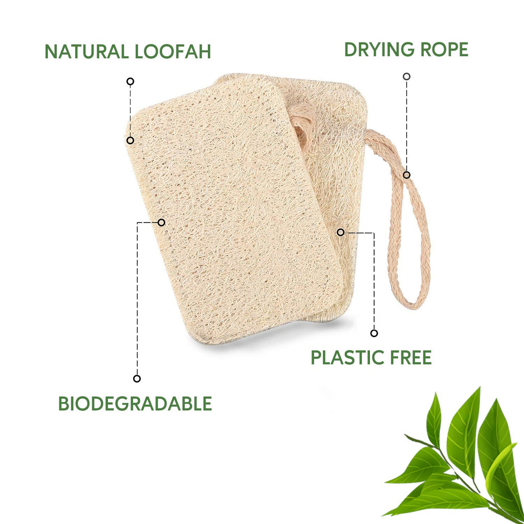 eplanita Natürliche Geschirr Spülschwämme, Kitchen Eco Scrub Scourer, Natural Luffa Plant, Biologisch abbaubar und Zero Waste (12er Pack)