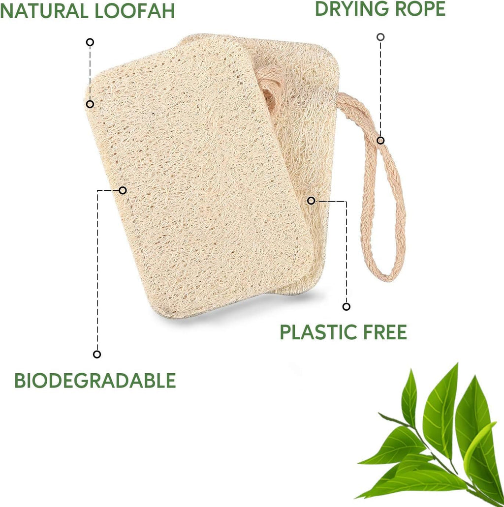 eplanita Natürliche Geschirr Spülschwämme, Kitchen Eco Scrub Scourer, Natural Luffa Plant, Biologisch abbaubar und Zero Waste (12er Pack)