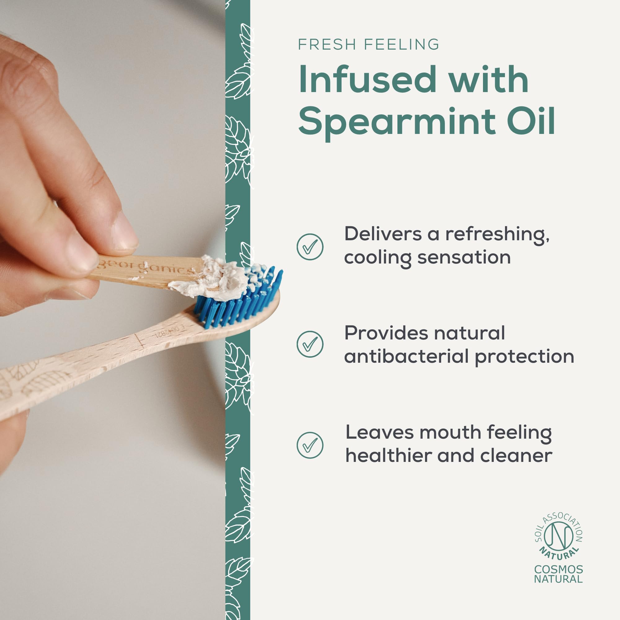 Georganics Natural Toothpaste 120ml - Spearmint | Remineralising Natural Toothpaste, Fluoride Free + SLS Free (120ml)