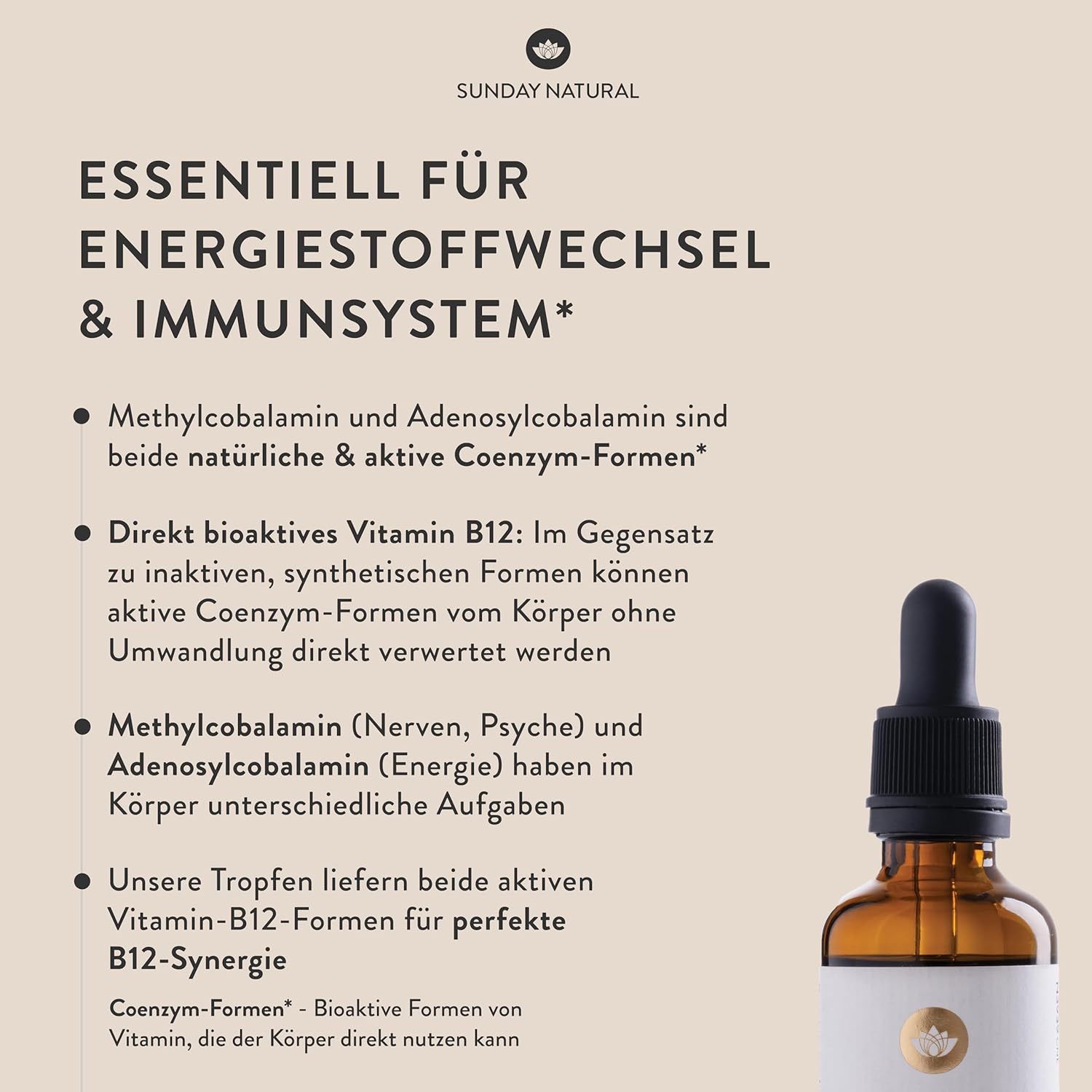 SUNDAY NATURAL® Vitamin B12 hochdosiert - 500 µg pro Vitamin B12 Tropfen – Bioaktive Formen B12 Methylcobalamin + Adenosylcobalamin – 900 Tropfen – Laborgeprüft, vegan, ohne unnötige Zusätze