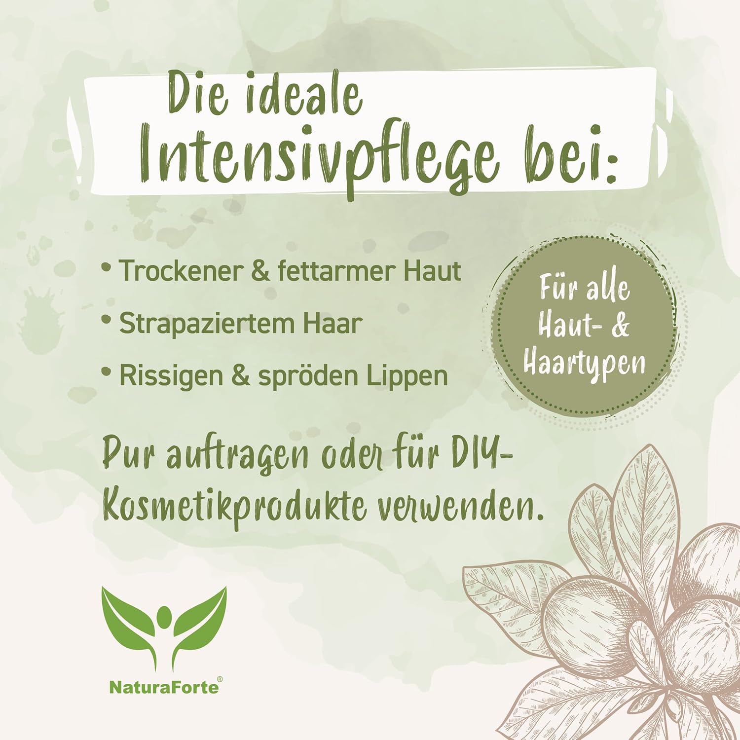 NaturaForte Sheabutter unraffiniert & kaltgepresst 250g – Naturreine Kosmetik Körperbutter, vegan, parfümfrei, feuchtigkeitsspendend & rückfettend, für alle Hauttypen