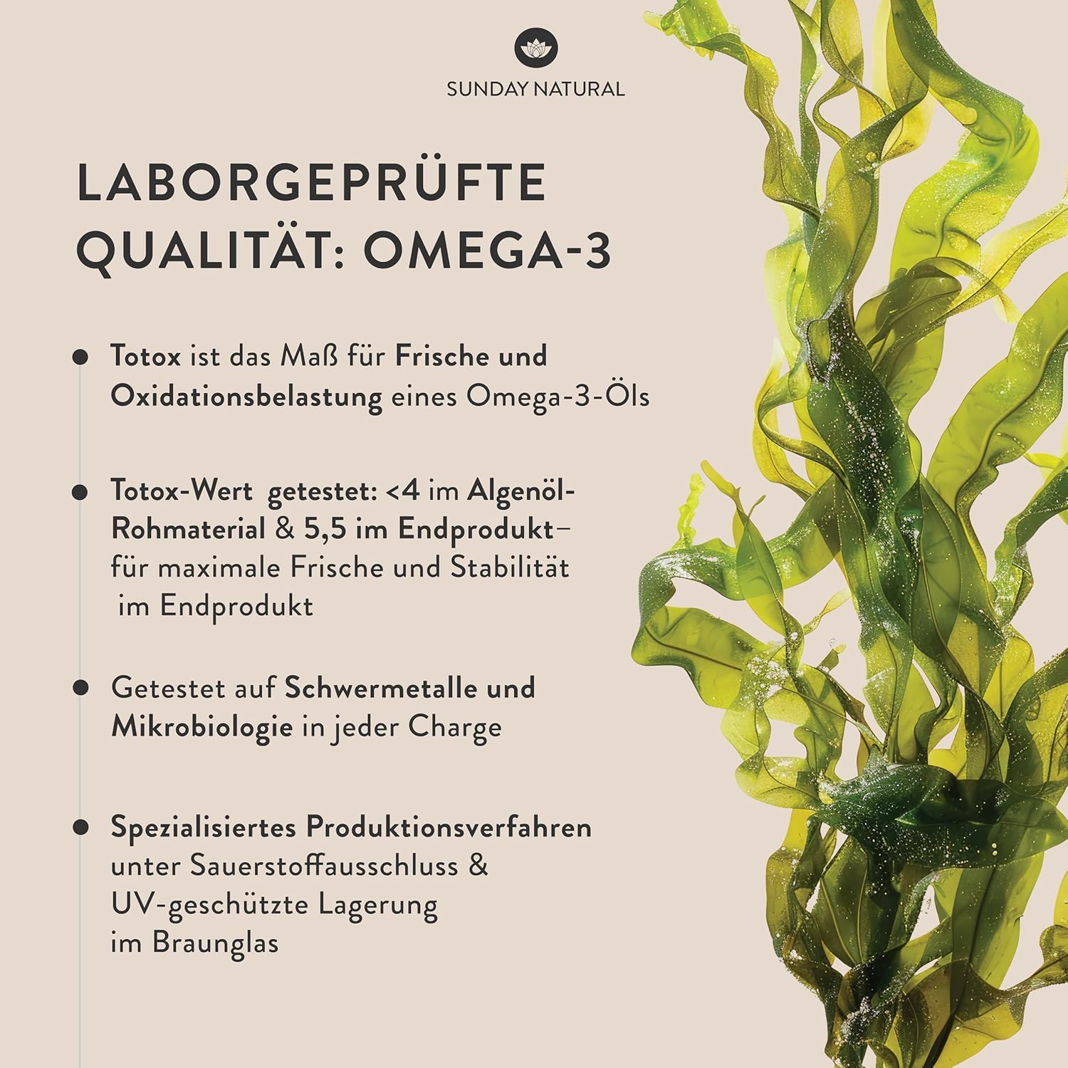 SUNDAY NATURAL® Omega 3 Vegan - 120 Softgel Kapseln - 1.000 mg Algenöl pro Tagesdosis: 350 mg DHA und 180 mg EPA - Leicht schluckbare Omega 3 Kapseln hochdosiert - Laborgeprüft