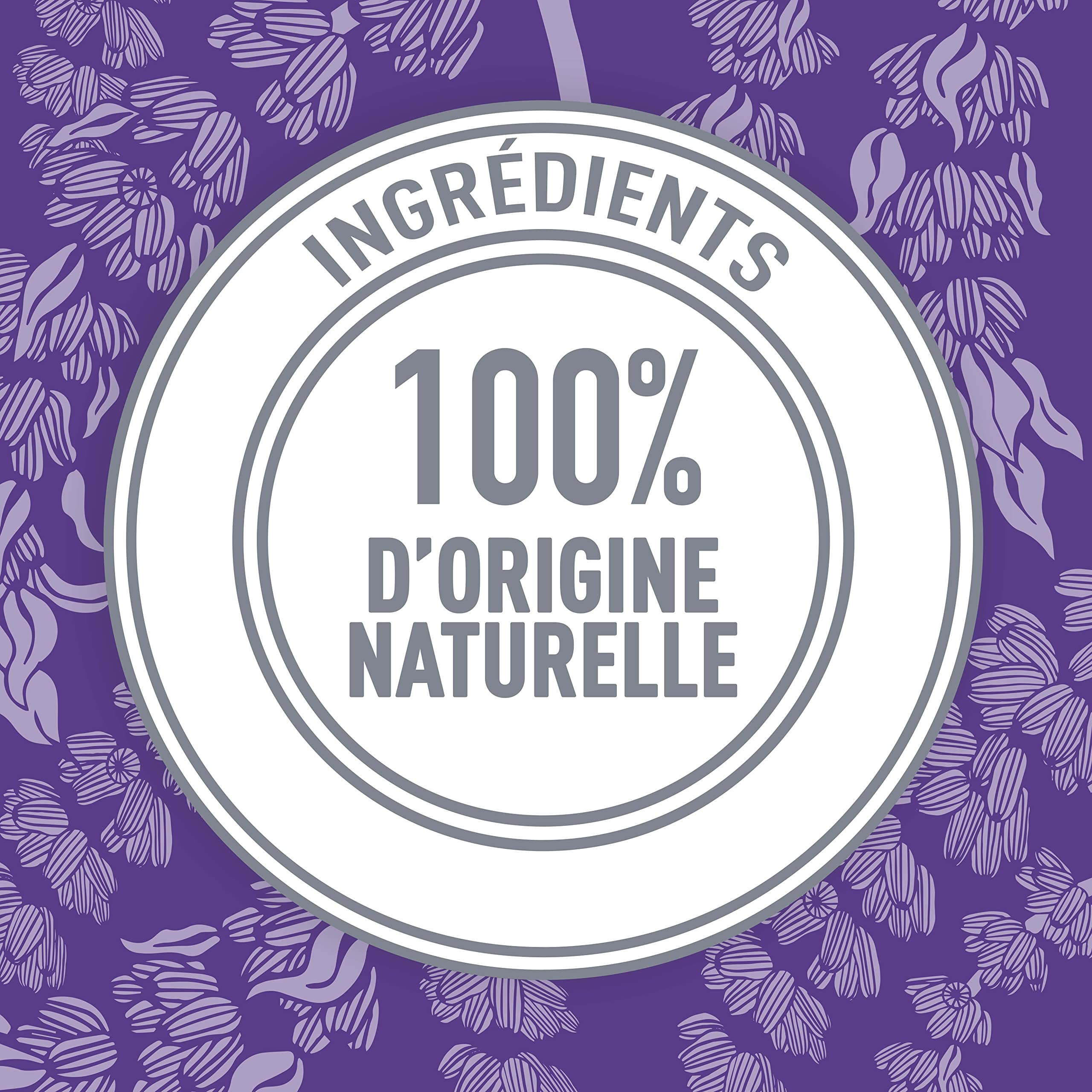 Schmidt's Natural Deodorant Stick Lavender & Sage Deodorant without Aluminium for Long-Lasting Freshness 75 g Pack of 1